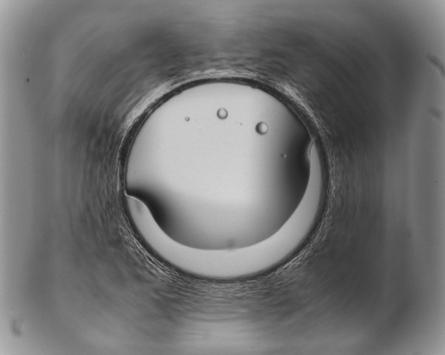 X0000102271173200808221431