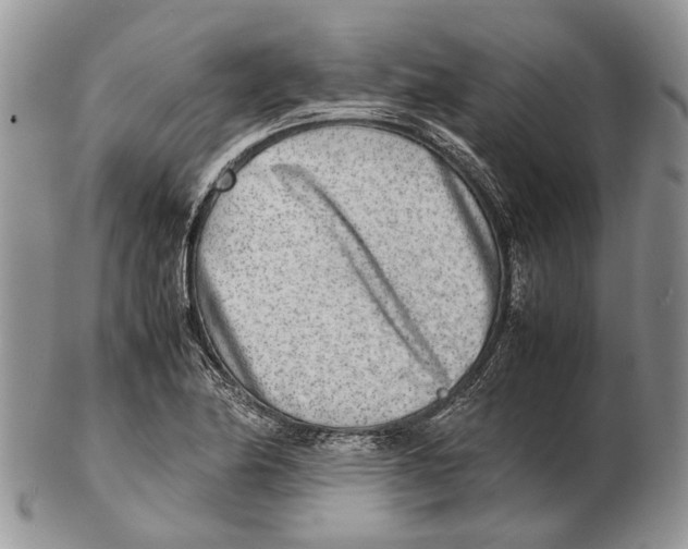 X0000102271174200808221431
