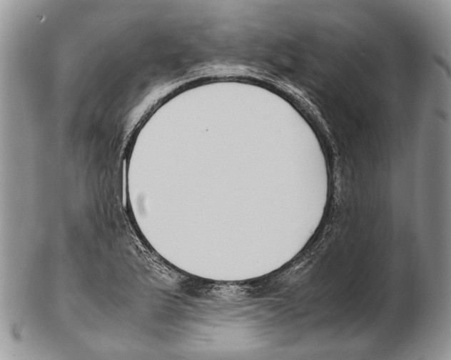 X0000102271175200808221431