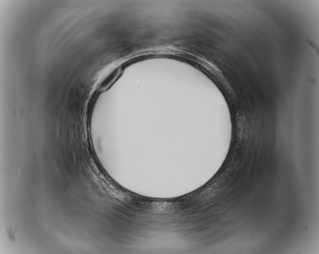 X0000102271176200808221431