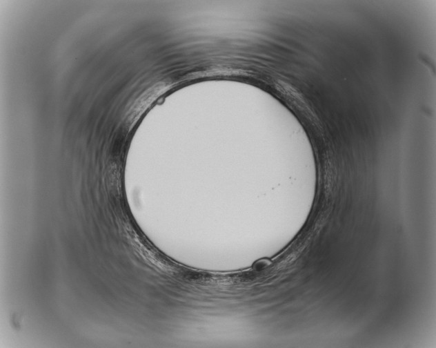X0000102271177200808221431
