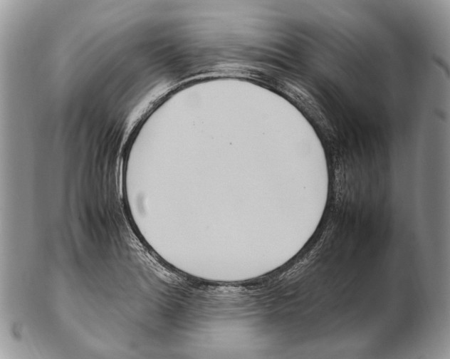 X0000102271180200808221431