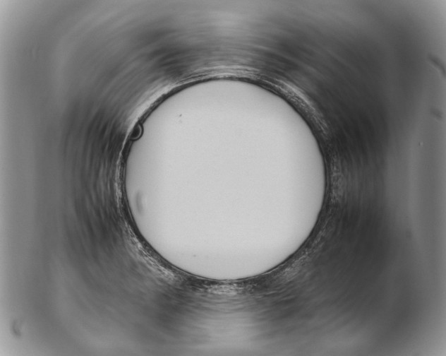 X0000102271182200808221431