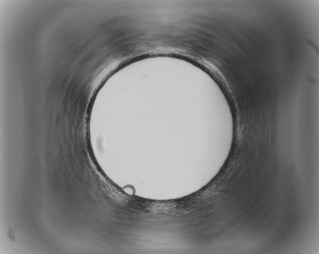 X0000102271183200808221431