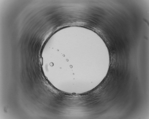 X0000102271184200808221431