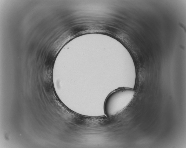 X0000102271185200808221431