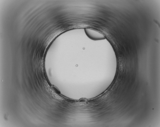 X0000102271186200808221431