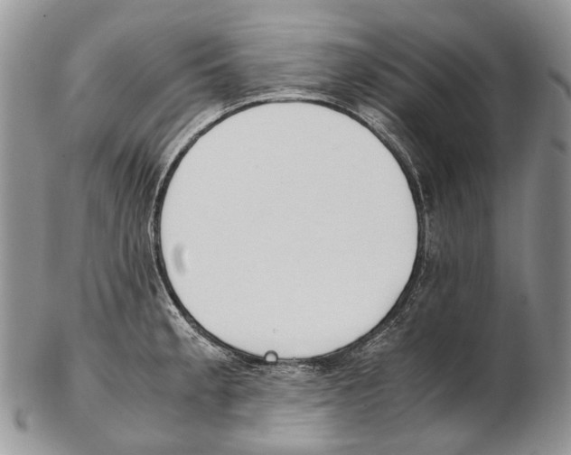X0000102271189200808221431