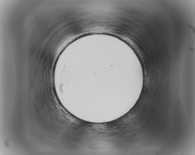 X0000102271191200808221431