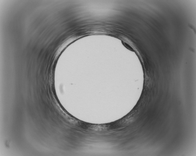 X0000102271195200808221431