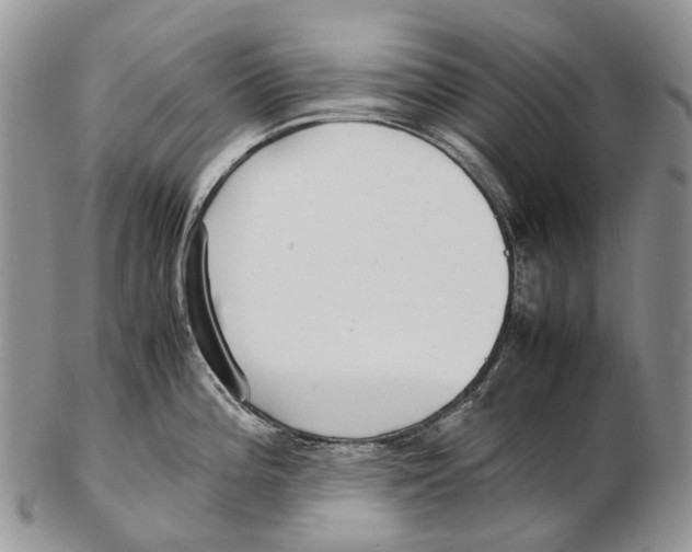 X0000102271196200808221431