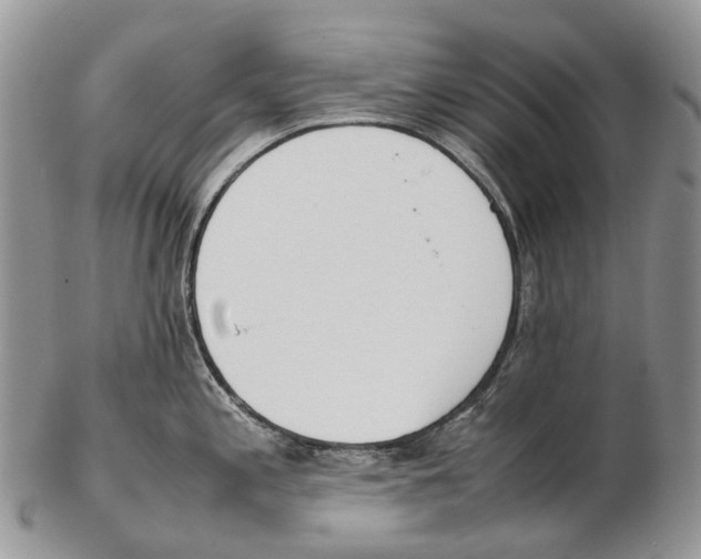 X0000102271197200808221431
