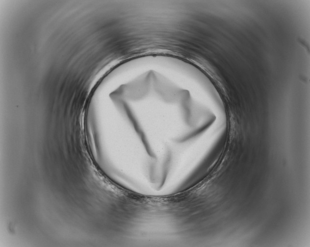 X0000102271198200808221431