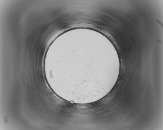 X0000102271199200808221431