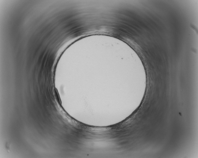 X0000102271200200808221431