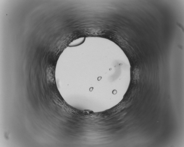 X0000102271202200808221430