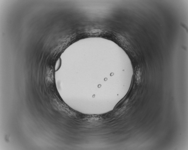 X0000102271204200808221430