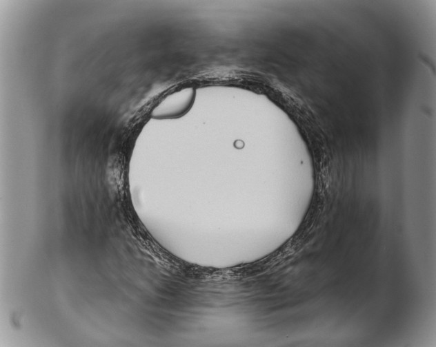 X0000102271206200808221430