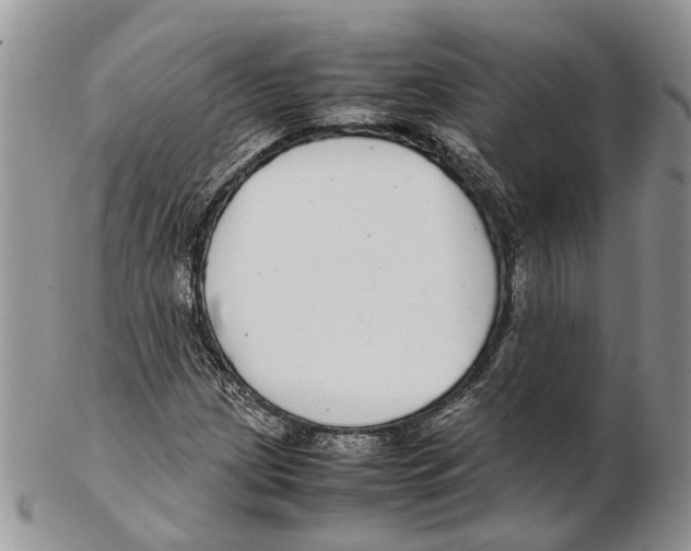 X0000102271209200808221430