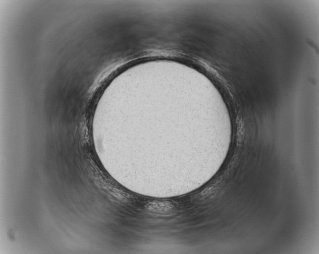 X0000102271215200808221430