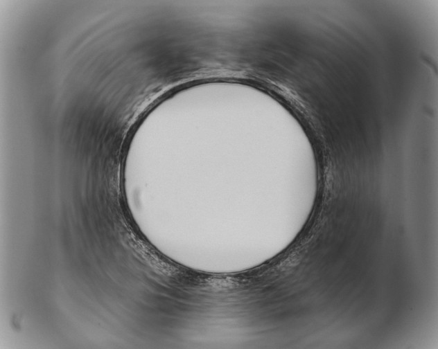 X0000102271220200808221430