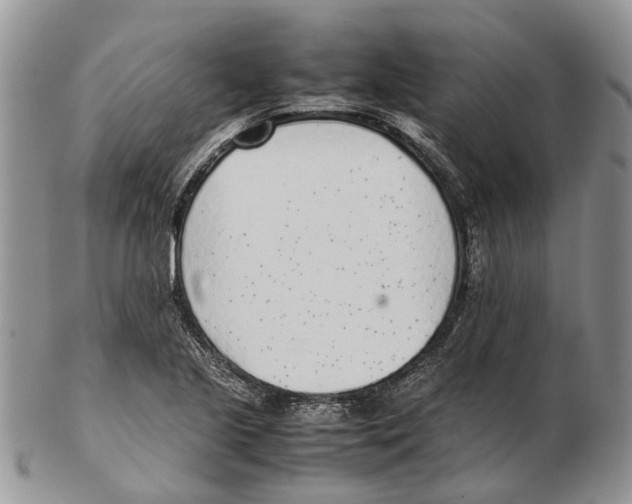 X0000102271221200808221430