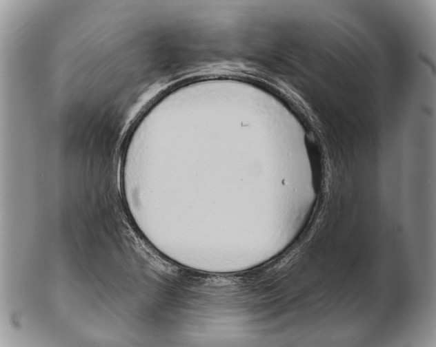 X0000102271224200808221430