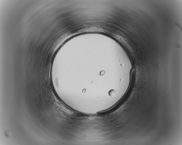 X0000102271228200808221430