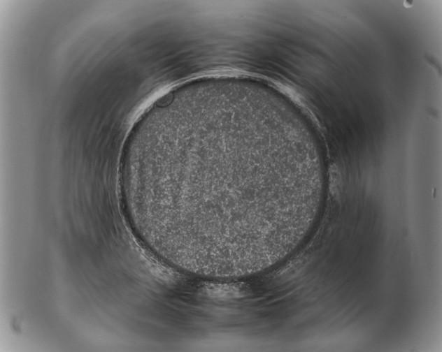 X0000102271229200808221430