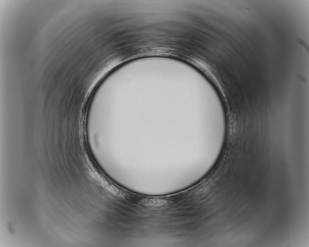 X0000102271235200808221430