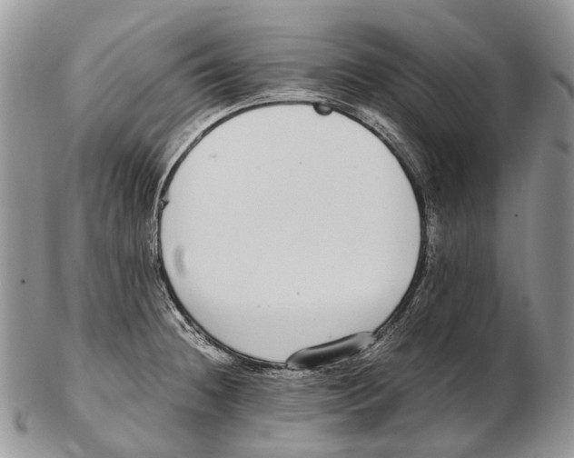 X0000102271236200808221430