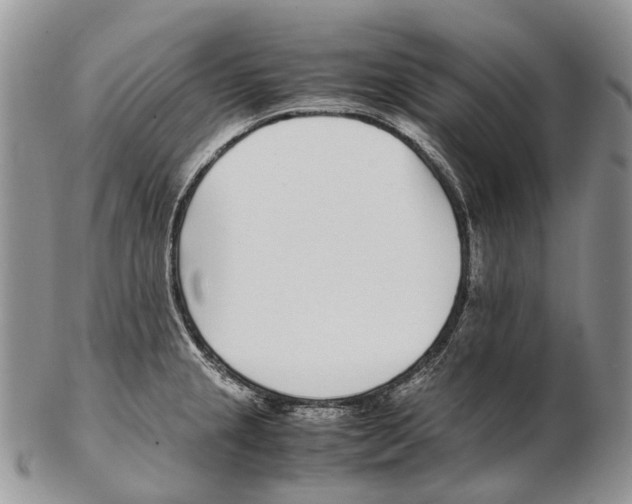 X0000102271237200808221430