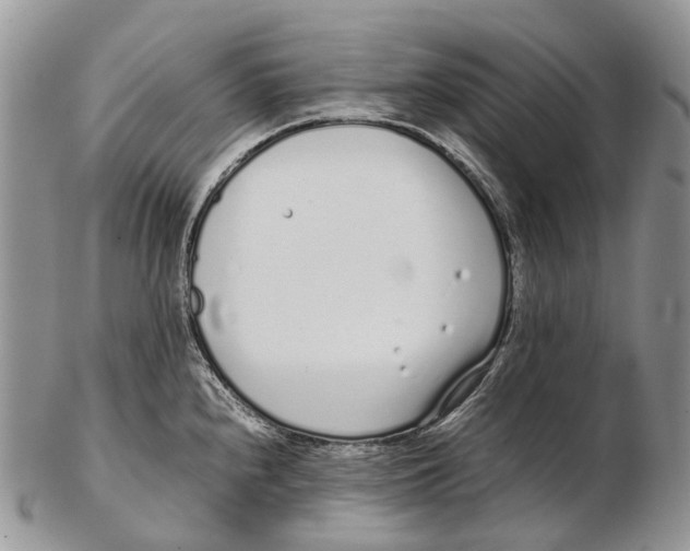 X0000102271240200808221430