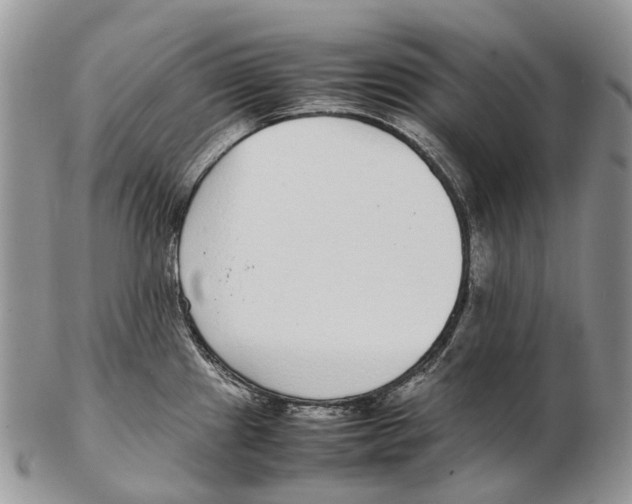 X0000102271241200808221430