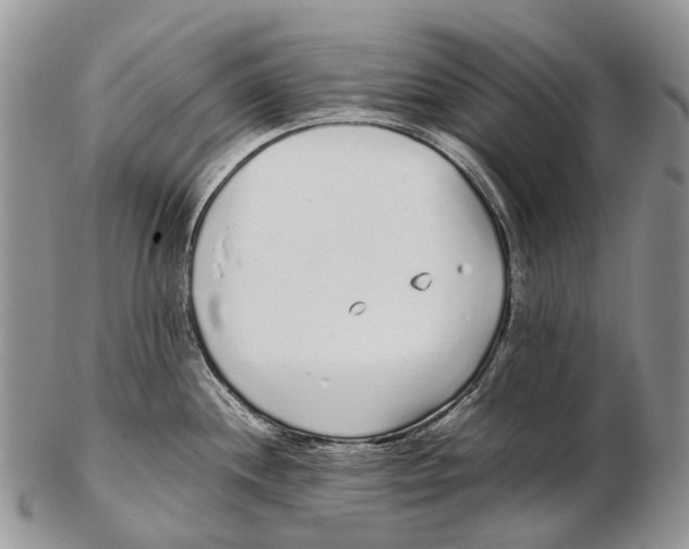 X0000102271244200808221431