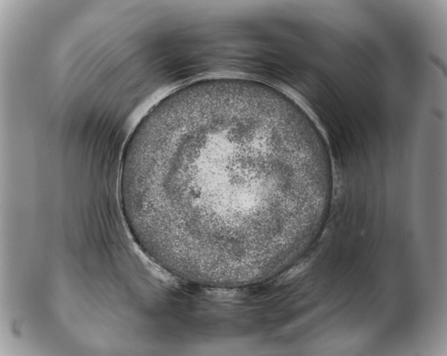 X0000102271245200808221431