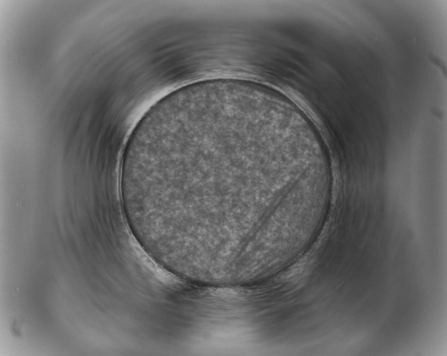X0000102271246200808221431