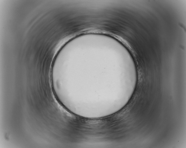 X0000102271247200808221431