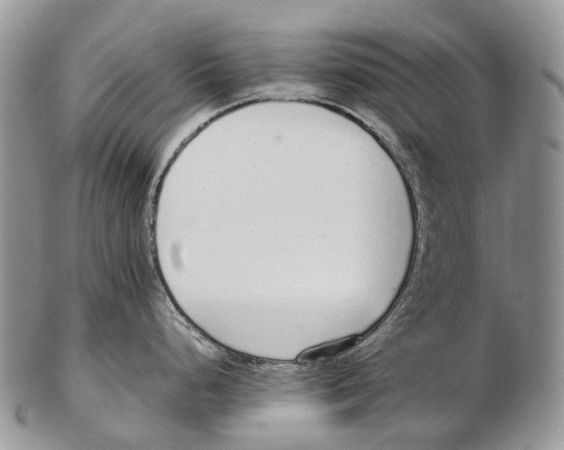 X0000102271248200808221431
