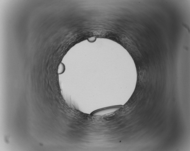 X0000102271249200808221430