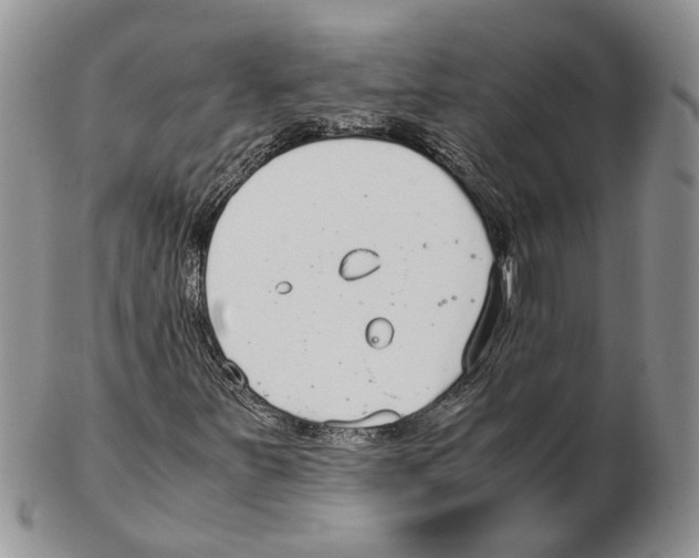 X0000102271251200808221430