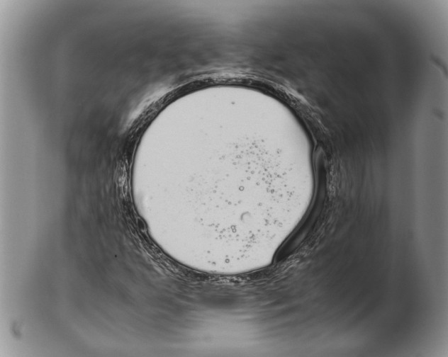 X0000102271255200808221430