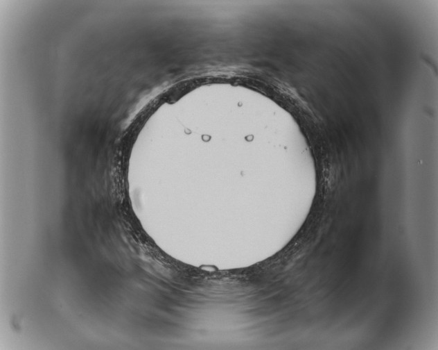 X0000102271256200808221430