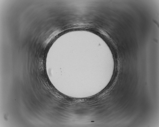 X0000102271259200808221430