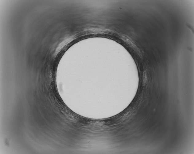X0000102271261200808221430