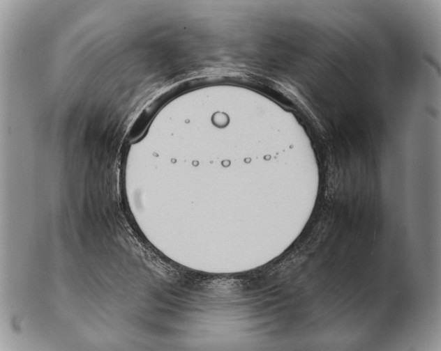 X0000102271268200808221430