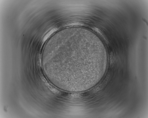 X0000102271274200808221430