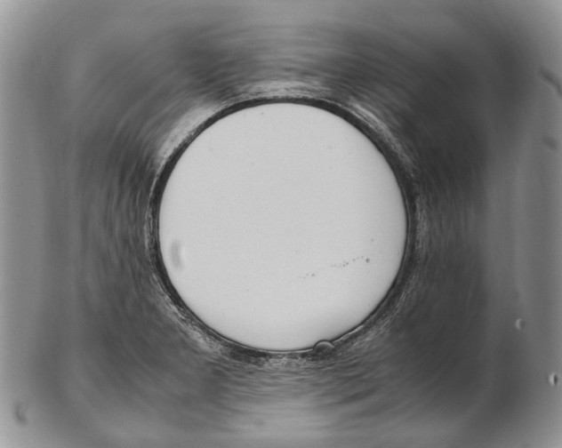 X0000102271277200808221430