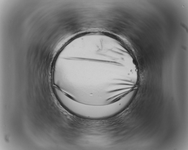 X0000102271279200808221429