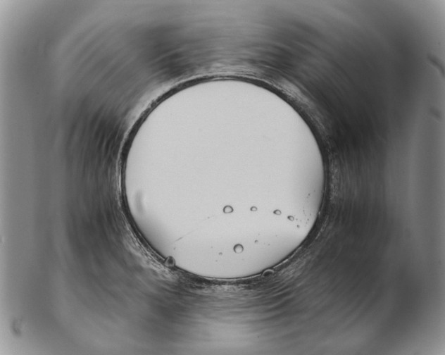 X0000102271280200808221429